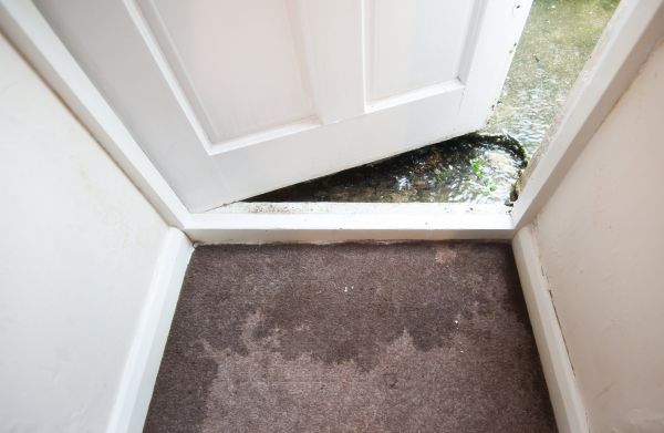 Wet Carpet Restoration in Mandeville