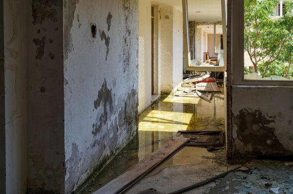 Water Removal Service in Mandeville