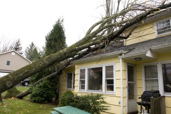Hurricane Damage Repair in Mandeville