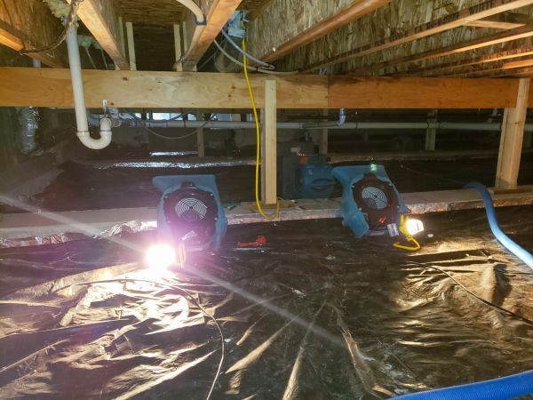 Crawlspace Water Removal in Mandeville