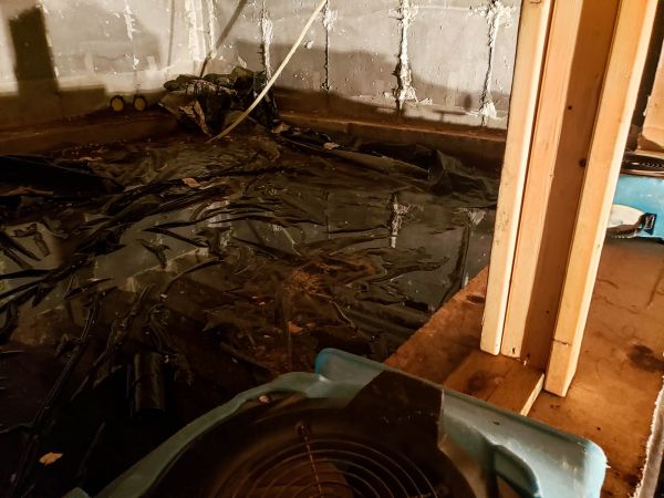 Crawlspace Water Cleanup in Mandeville